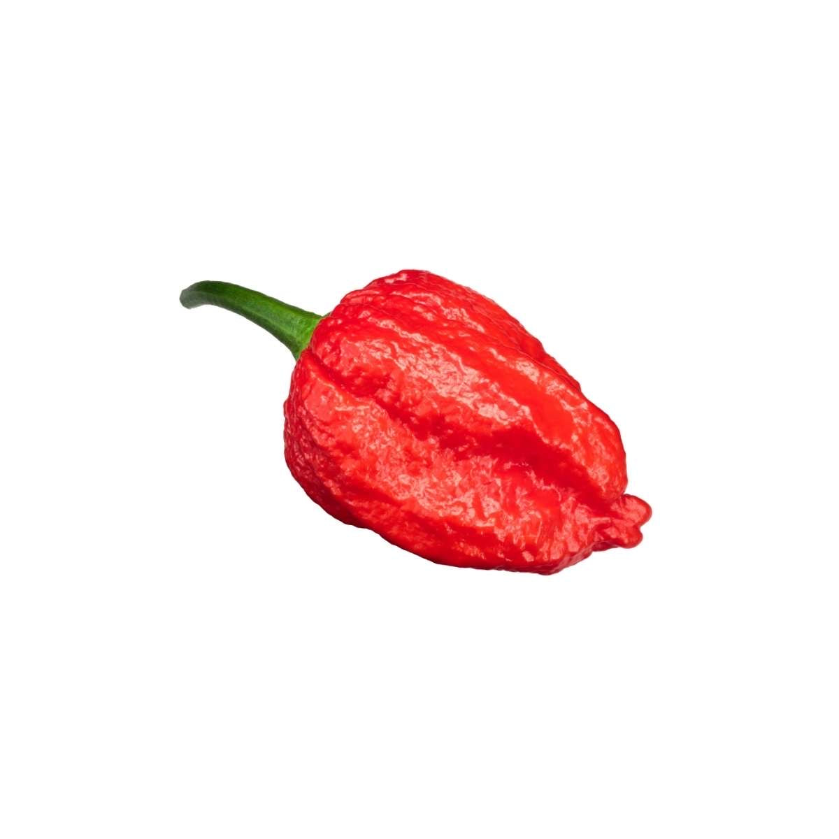 Carolina Reaper