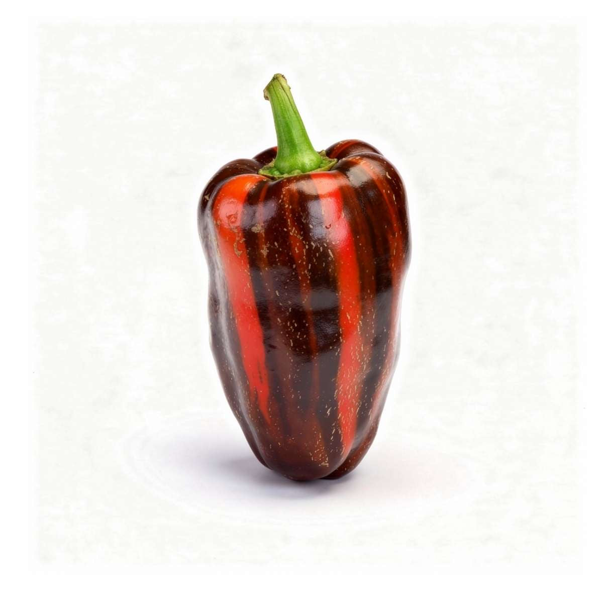 Tiger Jalapeno Variegated Pepper