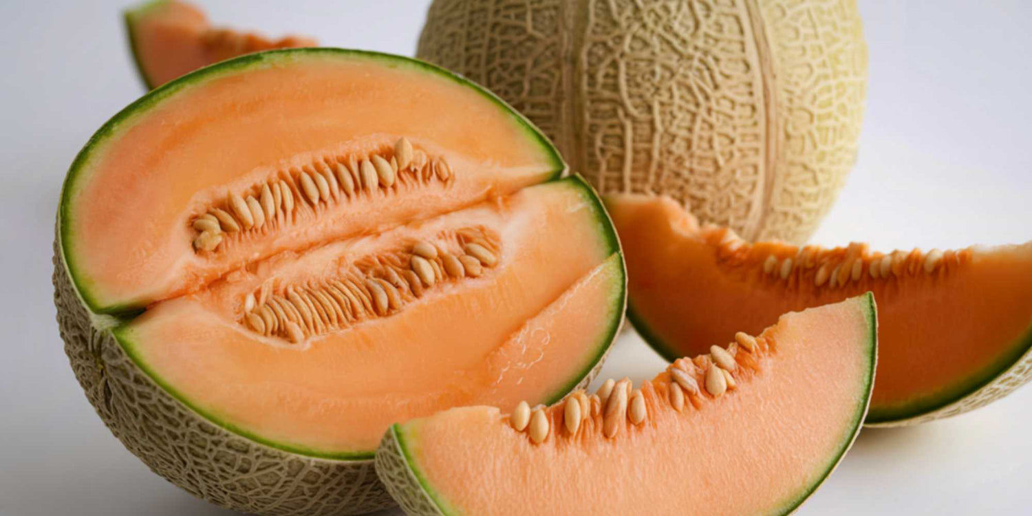 Muskmelon