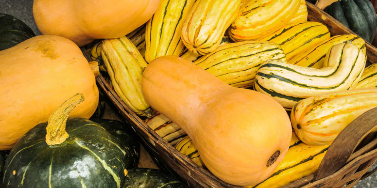 Winter Squash