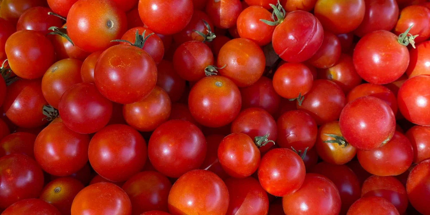 Cherry Tomato