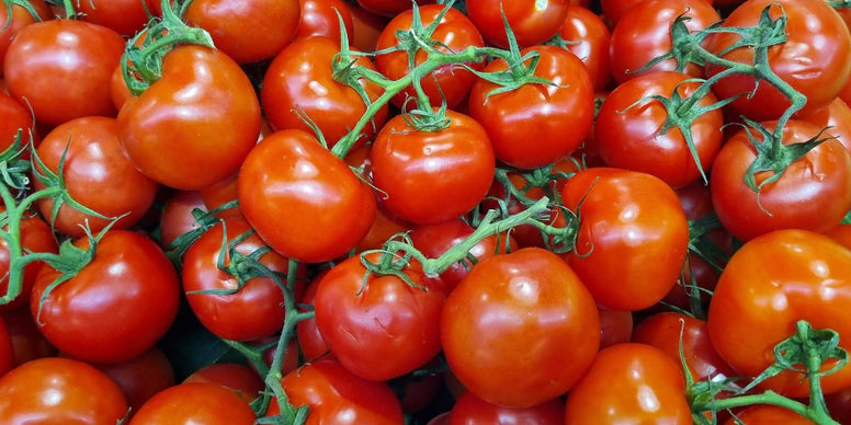Slicer Tomato