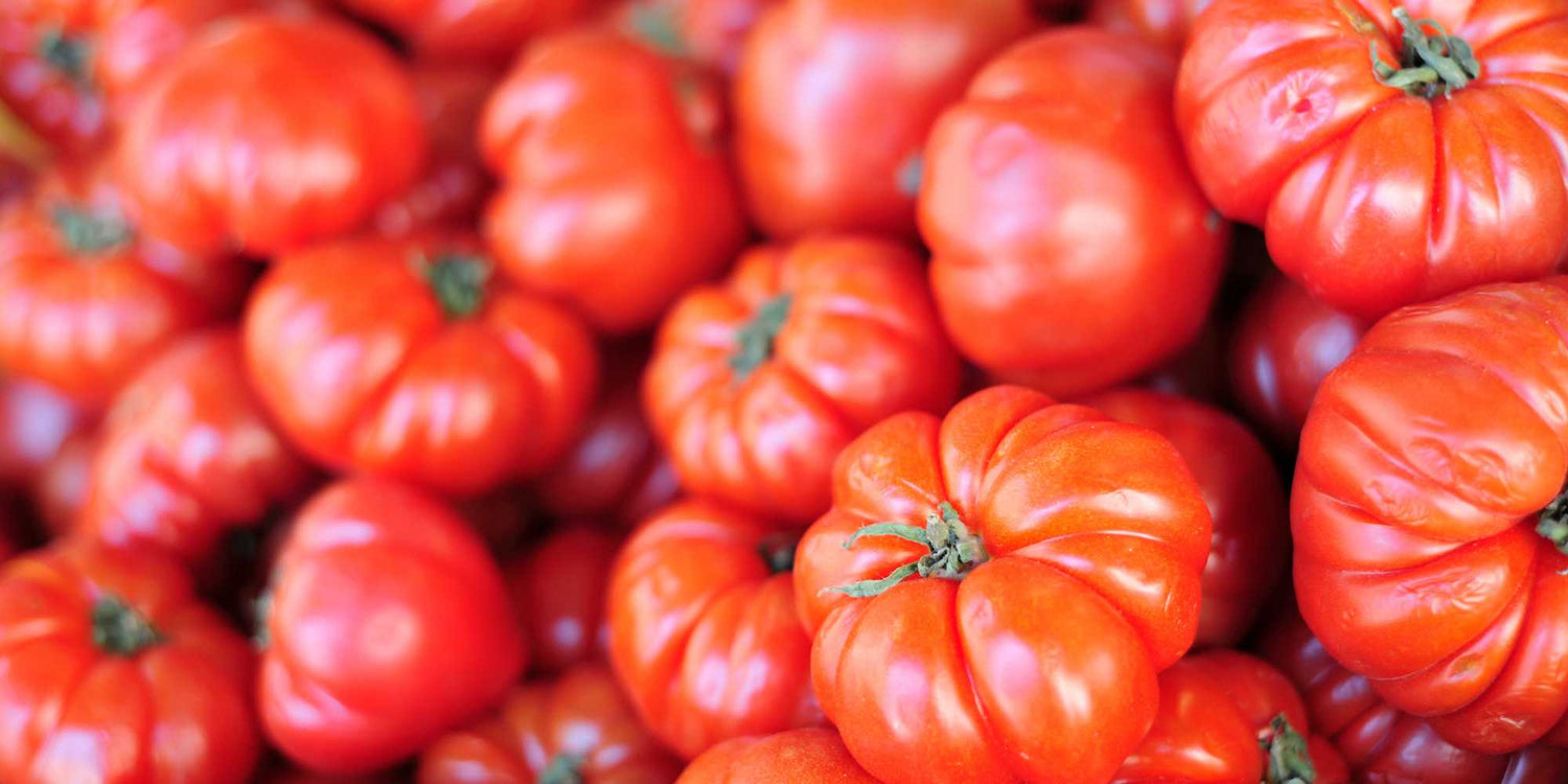Beefsteak Tomato