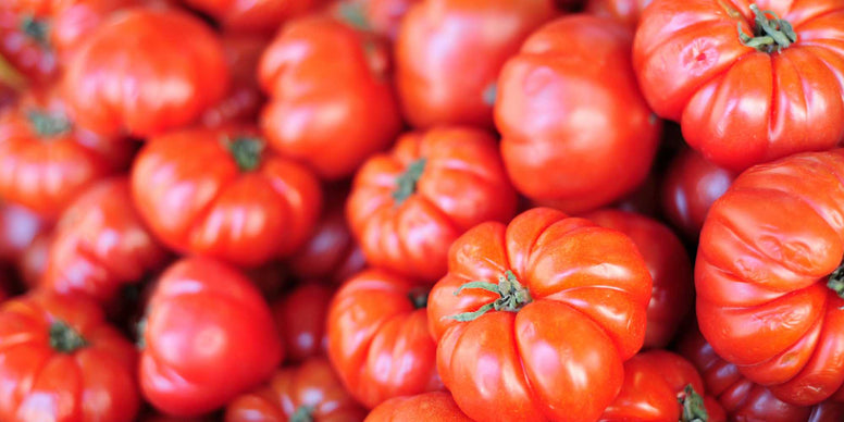 Beefsteak Tomato