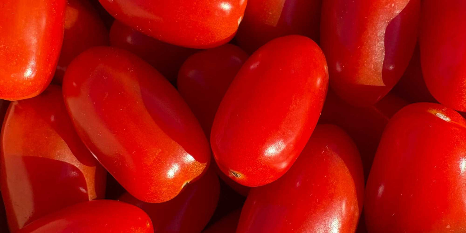 Cocktail Tomato