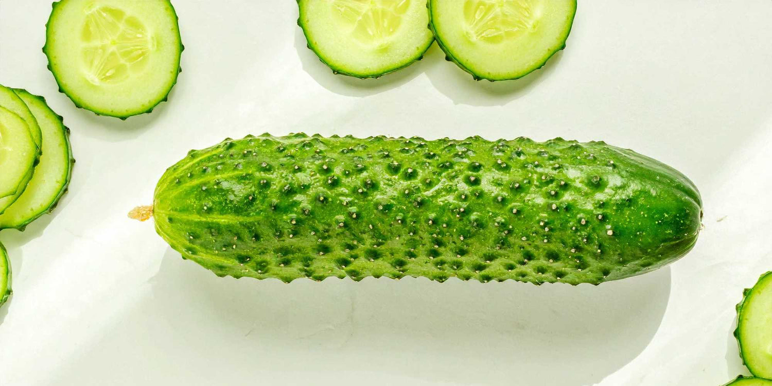 Mini Cucumber