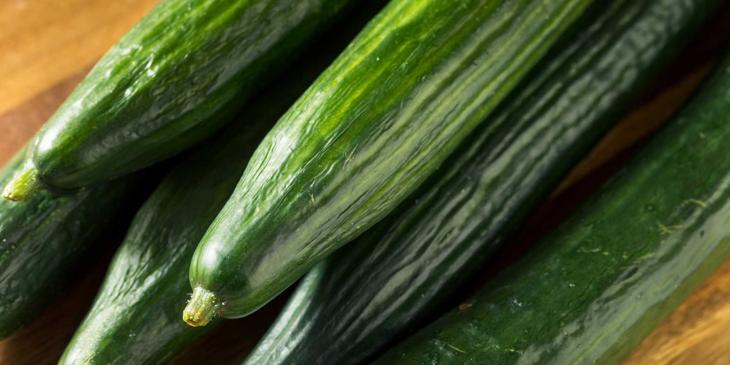 English Cucumber