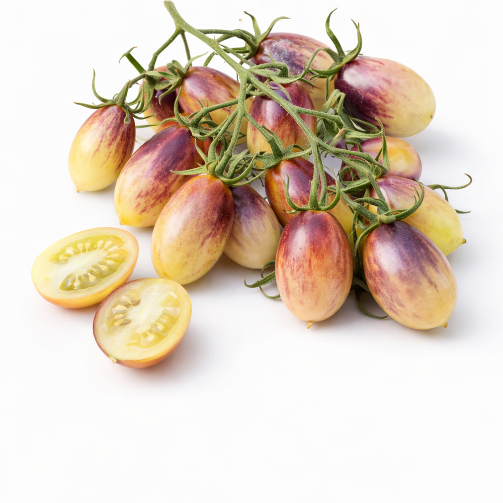 Märchenengel Dwarf Cherry Tomato