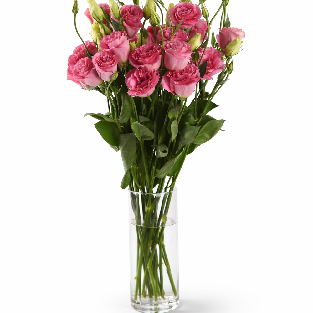 Lisianthus ‘ABC 3 Rose’