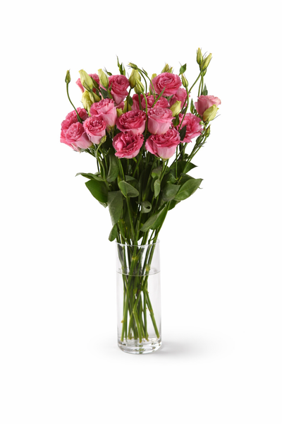 Lisianthus ‘ABC 3 Rose’