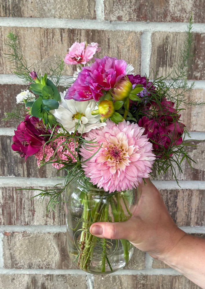 Dahlia Season Subscription – 3 Monthly Bouquets