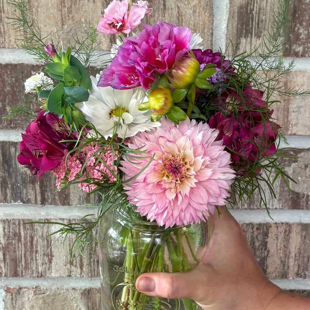 Dahlia Season Subscription – 3 Monthly Bouquets