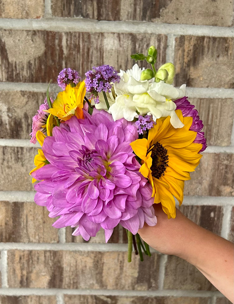 Dahlia Season Subscription – 3 Monthly Bouquets