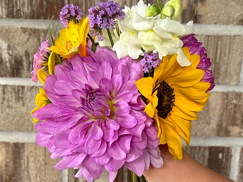 Bouquet Subscriptions