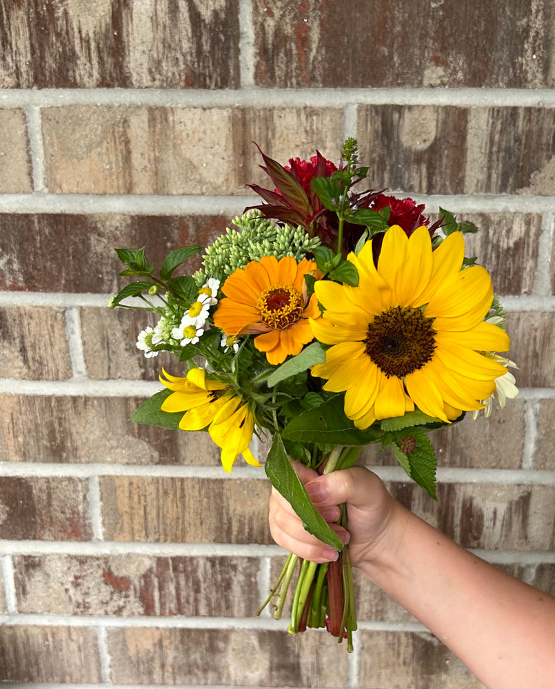 Dahlia Season Subscription – 3 Monthly Bouquets