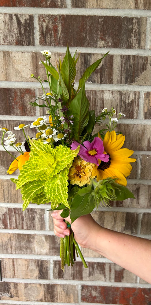 Dahlia Season Subscription – 3 Monthly Bouquets