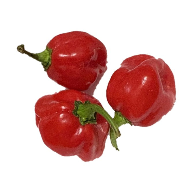 AFF Caribbean Red Hot