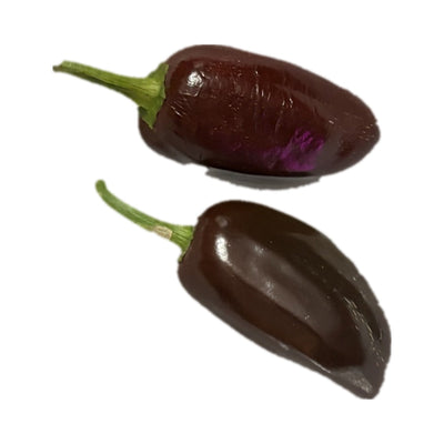 Brown Jalapeño