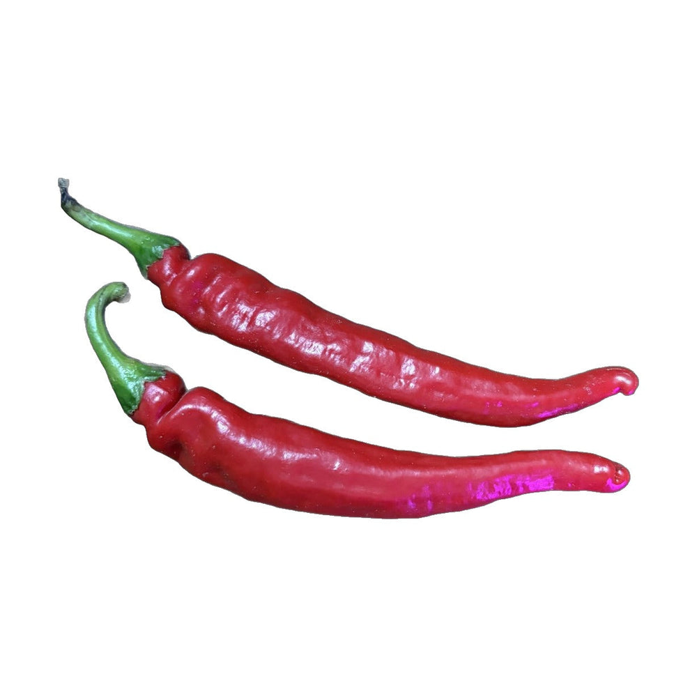 Carolina Cayenne