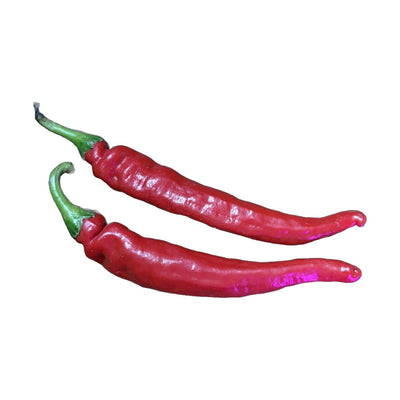 Carolina Cayenne