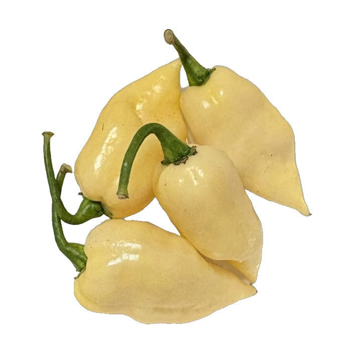 Fatalii White