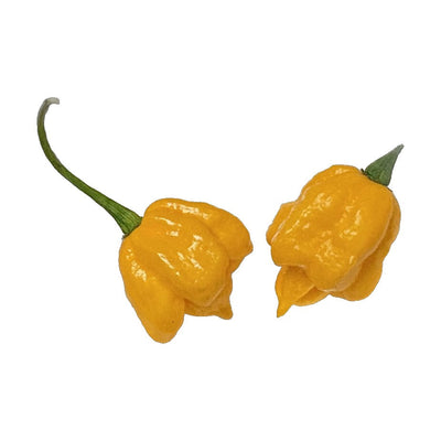 Fatalii Yellow