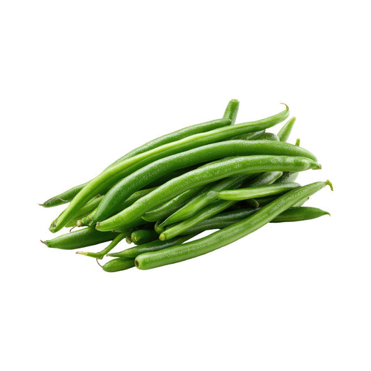 Black Valentine Green Bush Beans