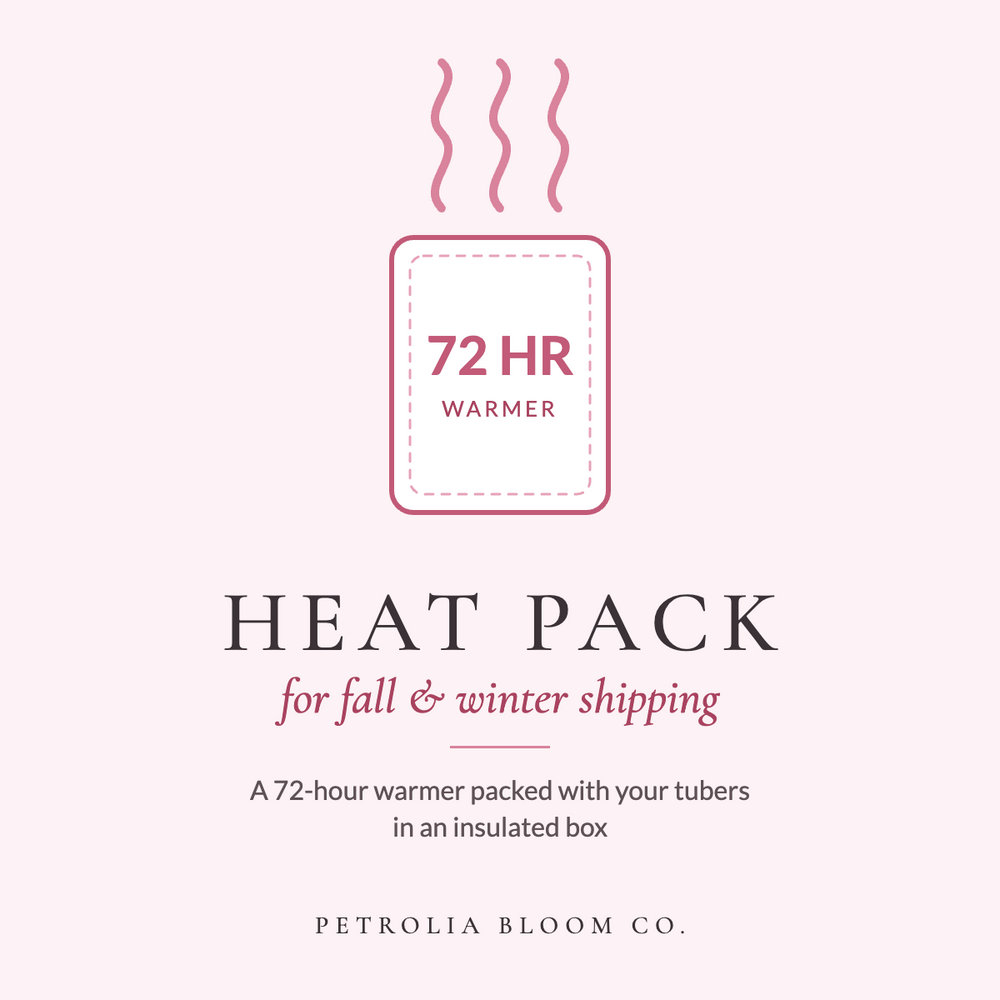 Heat pack for fall and winter shipping: a 72-hour warmer packed with your tubers in an insulated box
