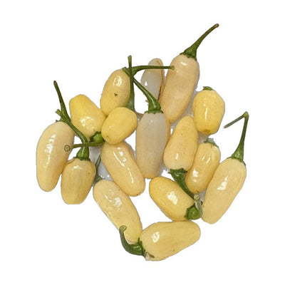 Ivory Habanero
