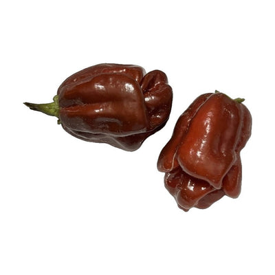 Jamaican Hot Chocolate Habanero