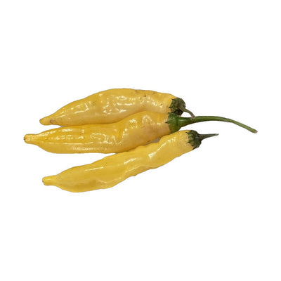 Lemon Drop