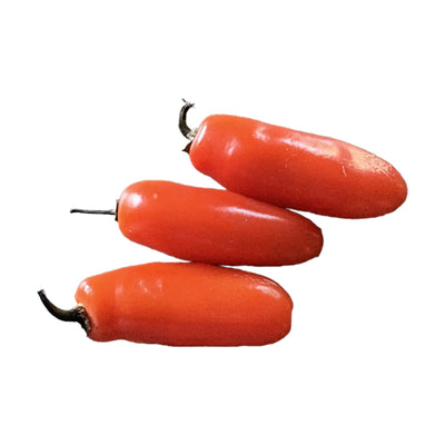 Orange Spice Jalapeño