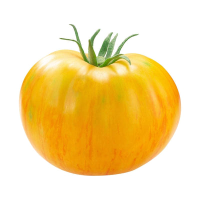 Azoychka Beefsteak Tomato