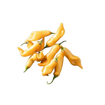 Sugar Rush Peach Pepper