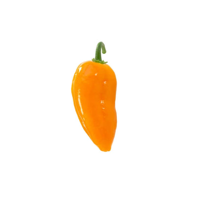 Orange Spice Jalapeño