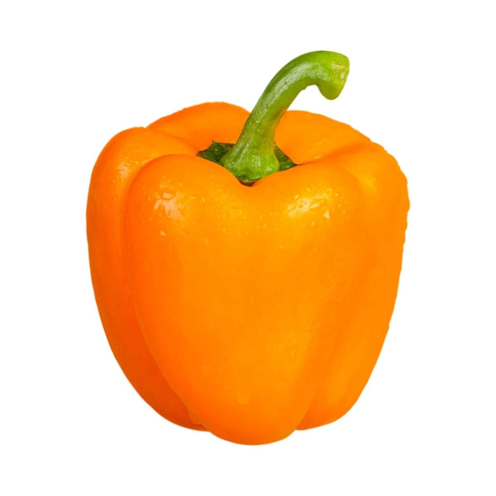 Orange Bell Pepper