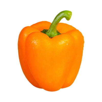 Orange Bell Pepper