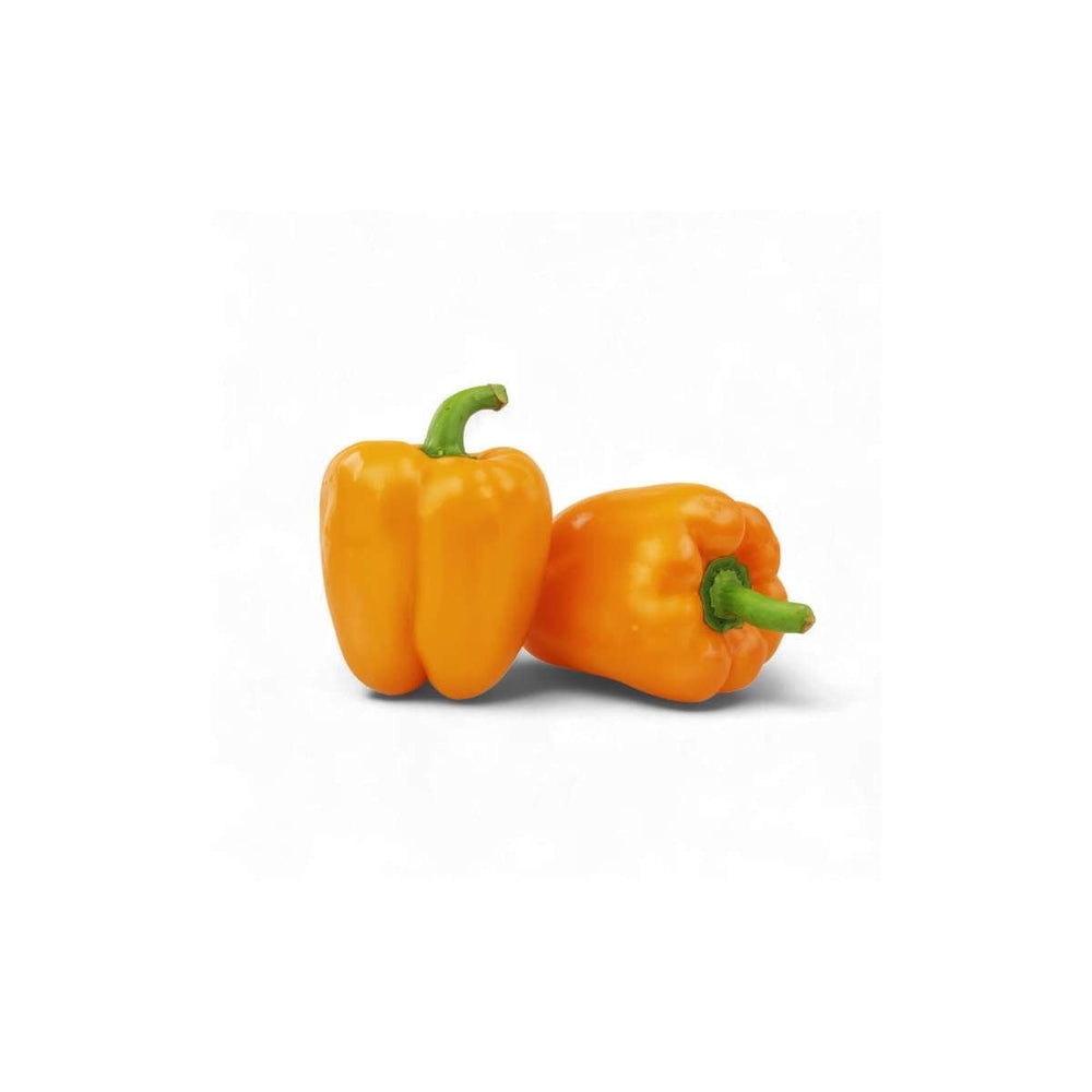 Orange Mini Bell Pepper