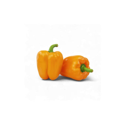Orange Mini Bell Pepper