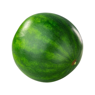 Watermelon Sugar Baby