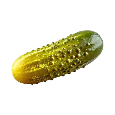 Chicago Pickling Cucumber