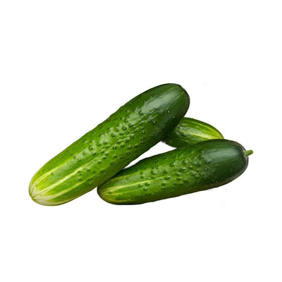 Patio Snacker Cucumbers