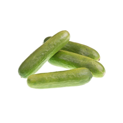 Persian Baby Cucumbers "Green Fingers"