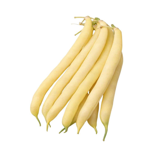 Gold Mine Yellow Bush Beans