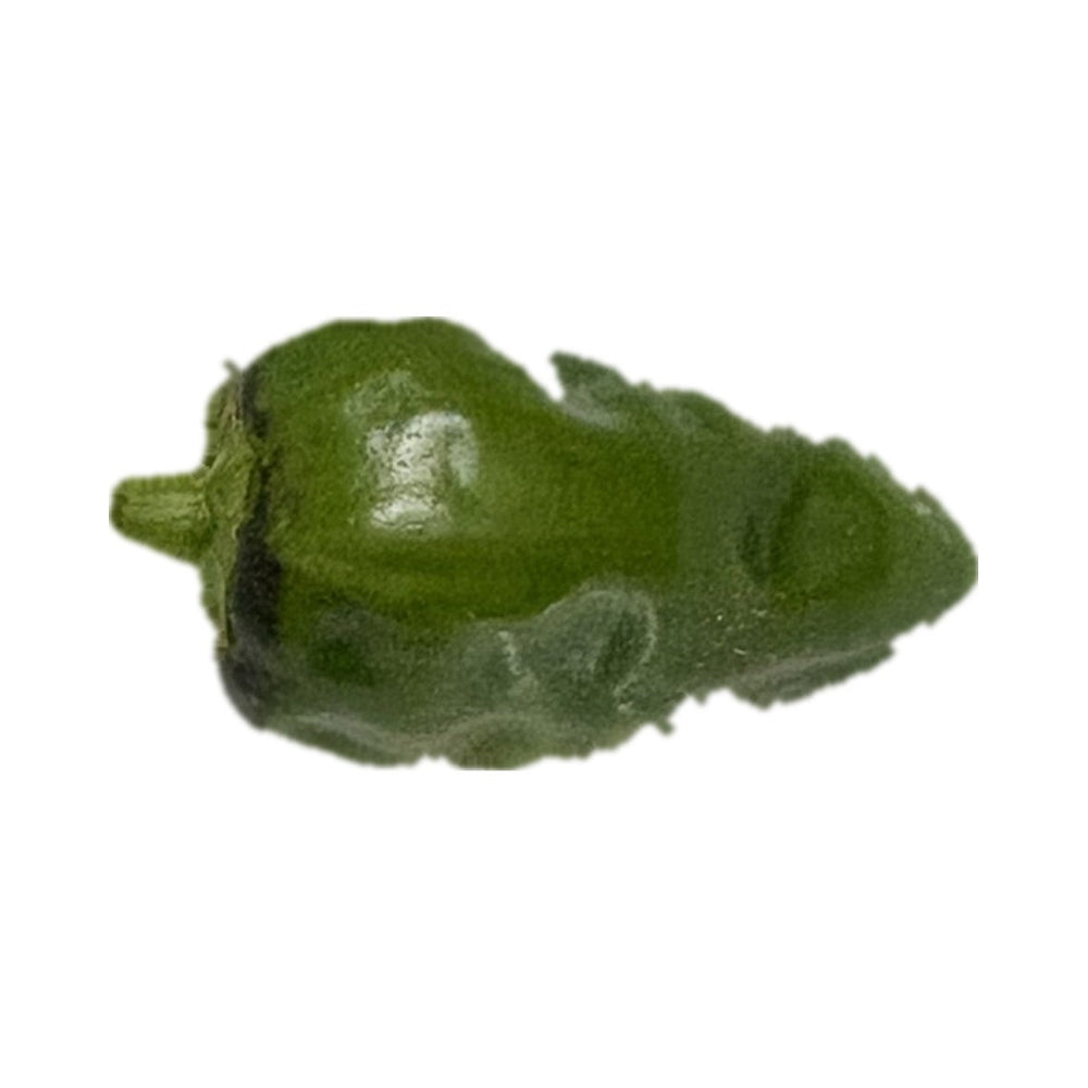 Padrón