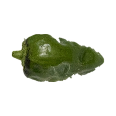 Padrón