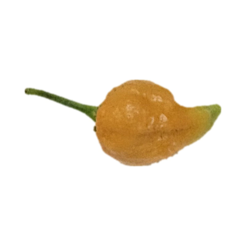 Peach Naga