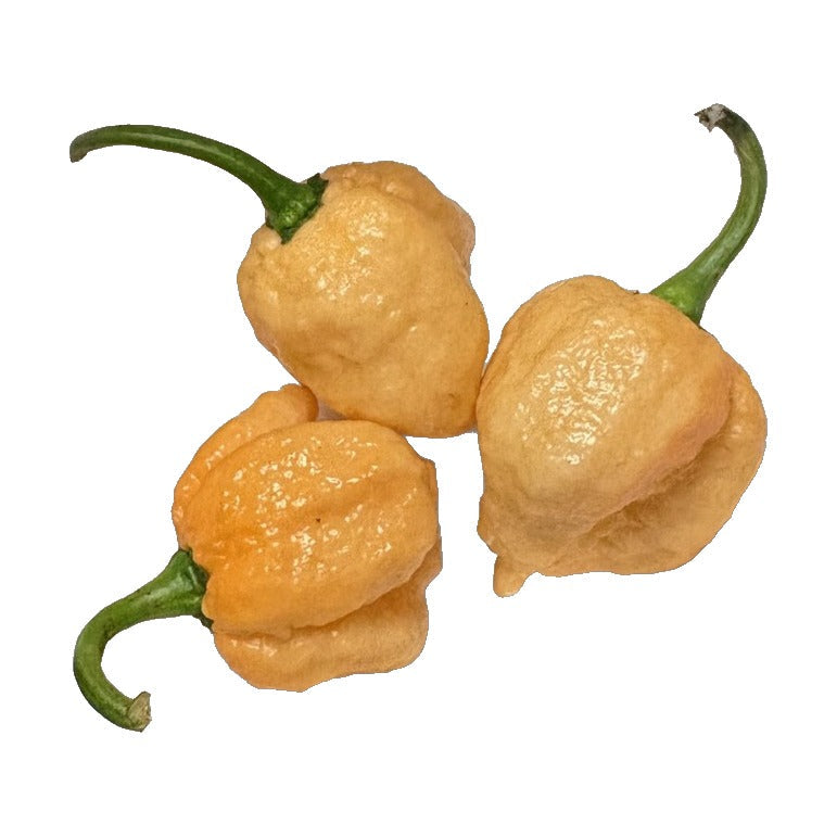 Peach Naga