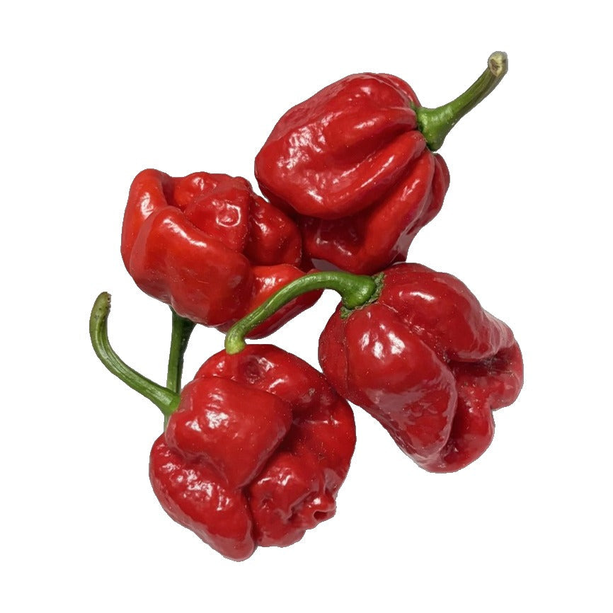 Red Scotch Bonnet