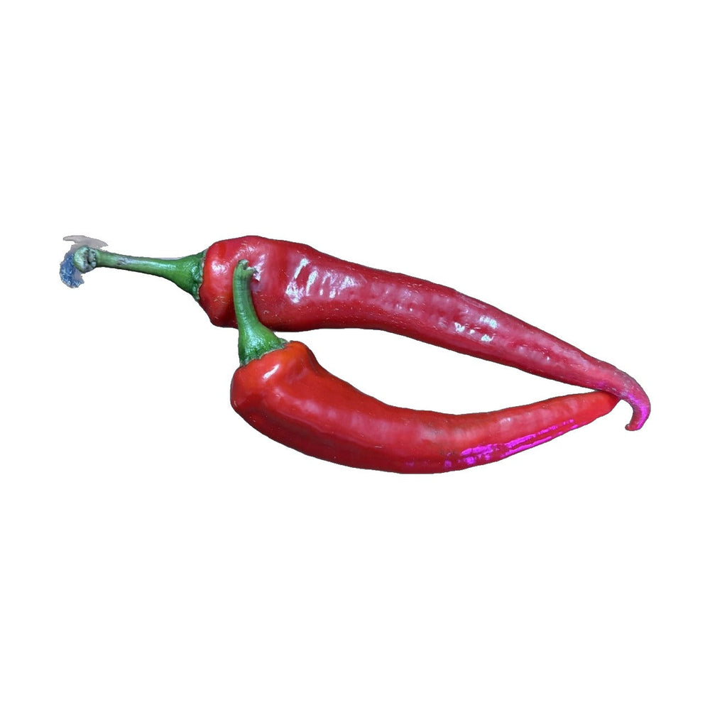 Ring of Fire Cayenne